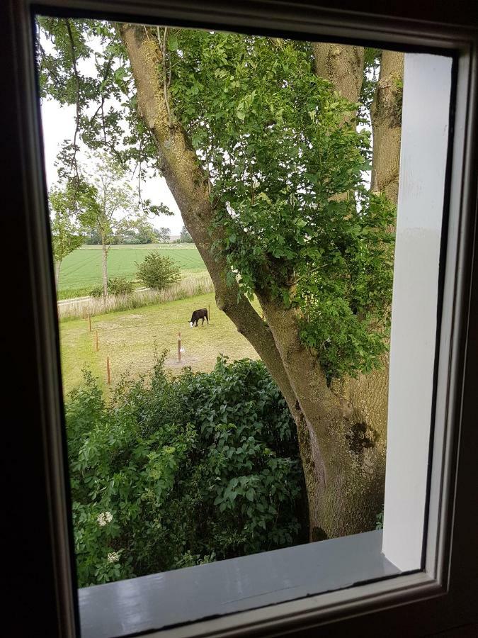 B&B Oldenbosch Holwierde Bagian luar foto